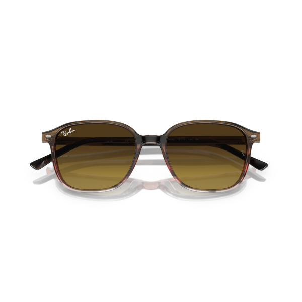 RB 2193 138085 53 Ray-Ban LEONARD Güneş Gözlüğü