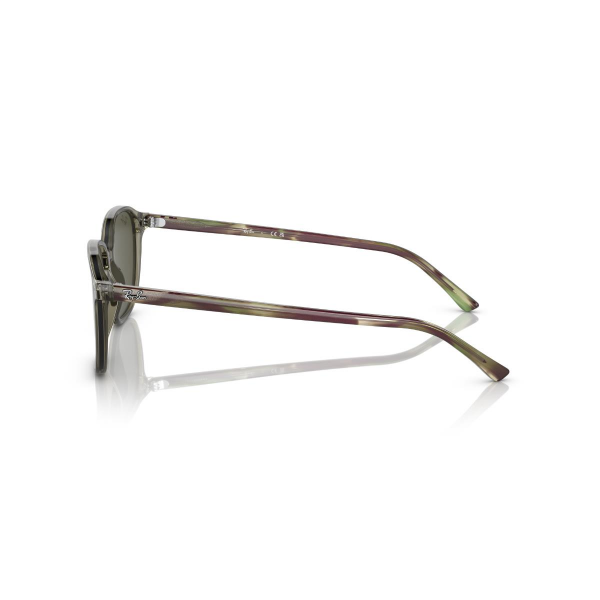 RB 2193 66355C 53 Ray-Ban LEONARD Güneş Gözlüğü