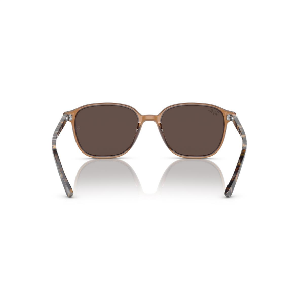RB 2193 663693 53 Ray-Ban LEONARD Güneş Gözlüğü