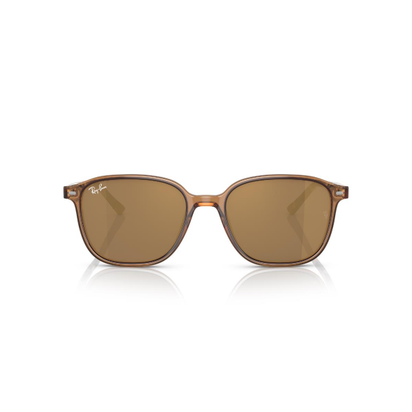 RB 2193 663693 53 Ray-Ban LEONARD Güneş Gözlüğü