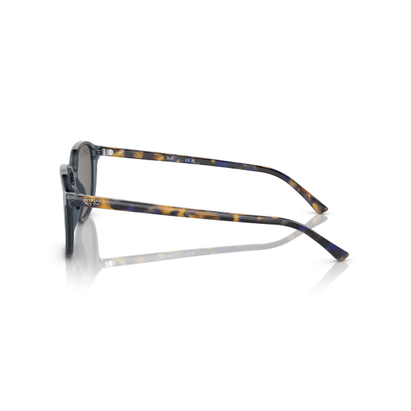 RB 2193 6638O4 53 Ray-Ban LEONARD Güneş Gözlüğü