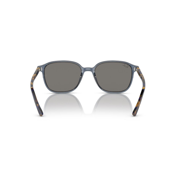 RB 2193 6638O4 53 Ray-Ban LEONARD Güneş Gözlüğü