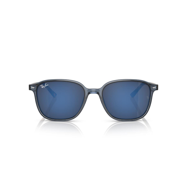 RB 2193 6638O4 53 Ray-Ban LEONARD Güneş Gözlüğü