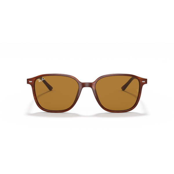 RB 2193 954/33 53 Ray-Ban LEONARD Güneş Gözlüğü