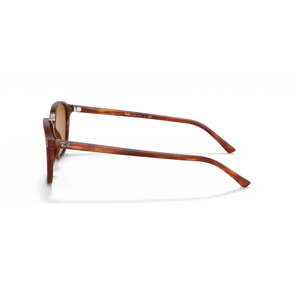 RB 2193 954/33 53 Ray-Ban LEONARD Güneş Gözlüğü