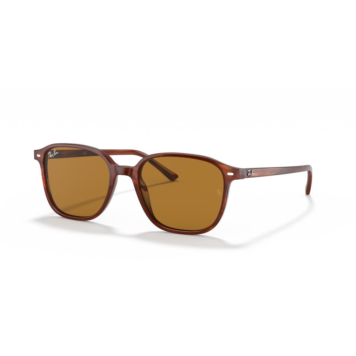 RB 2193 954/33 53 Ray-Ban LEONARD Güneş Gözlüğü