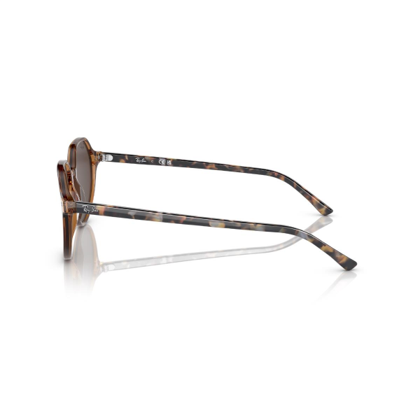 RB 2195 663693 53 Ray-Ban THALIA Güneş Gözlüğü