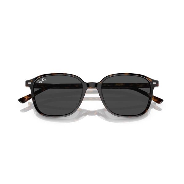 RB 2193 902/GH 51 Ray-Ban LEONARD TRANSITIONS® Fotokromik Güneş Gözlüğü