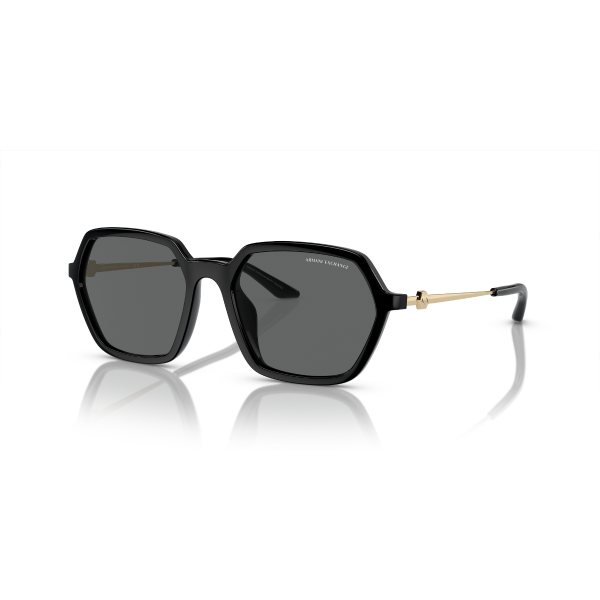 AX 4139SU 815887 52 Armani Exchange Güneş Gözlüğü