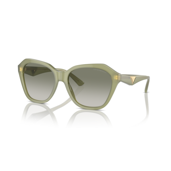 EA 4221 61168E 56 Emporio Armani Güneş Gözlüğü