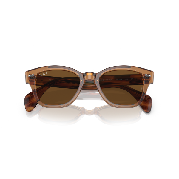 RB 0880S 664057 52 Ray-Ban Polarize Güneş Gözlüğü