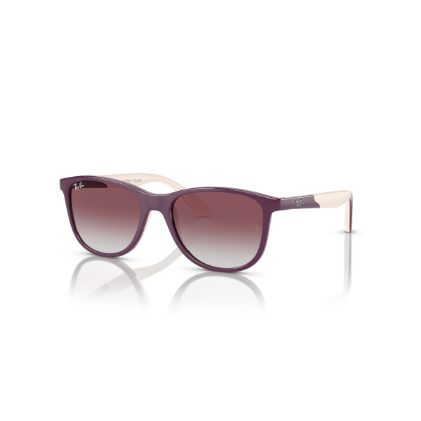 RJ 9077S 71348G 49 Ray-Ban Güneş Gözlüğü