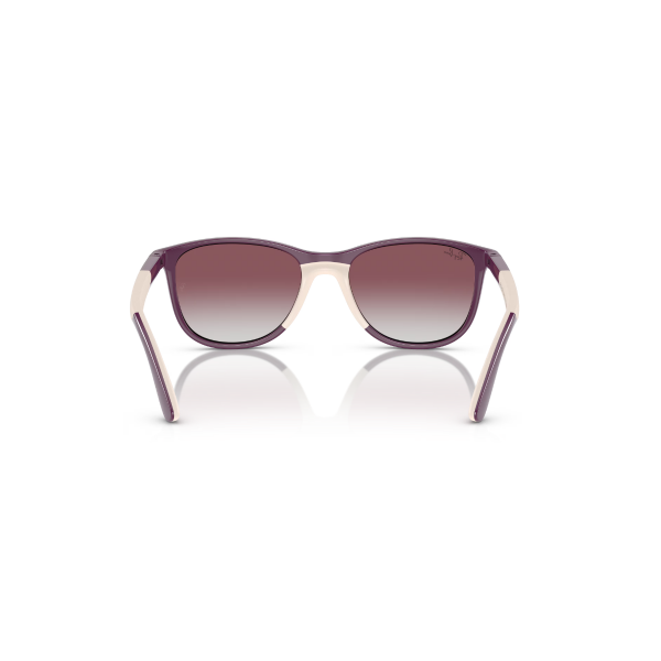 RJ 9077S 71348G 49 Ray-Ban Güneş Gözlüğü