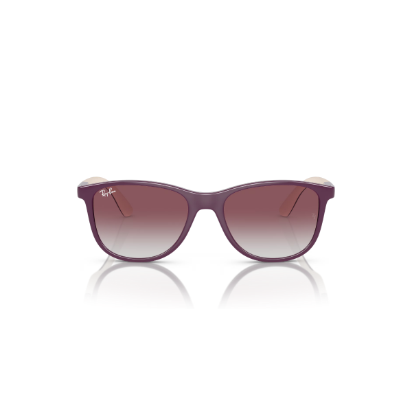 RJ 9077S 71348G 49 Ray-Ban Güneş Gözlüğü