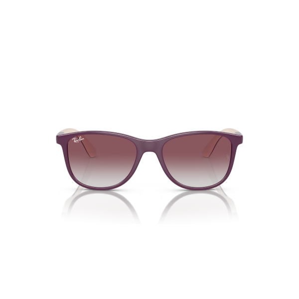 RJ 9077S 71348G 49 Ray-Ban Güneş Gözlüğü