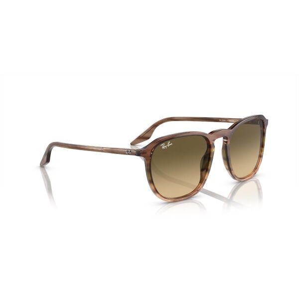 RB 2203 13920A 52 Ray-Ban Güneş Gözlüğü