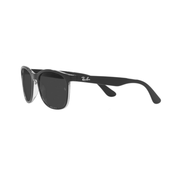 RB 4374 603948 56 Ray-Ban Polarize Güneş Gözlüğü