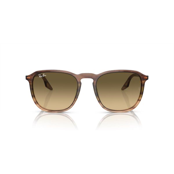 RB 2203 13920A 55 Ray-Ban Güneş Gözlüğü