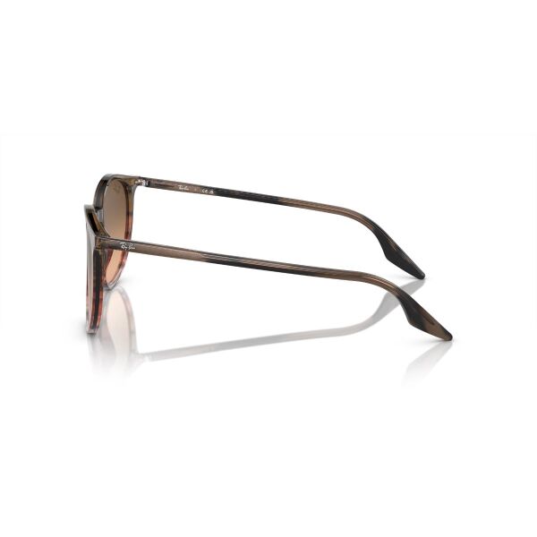 RB 2204 13953B 54 Ray-Ban Güneş Gözlüğü
