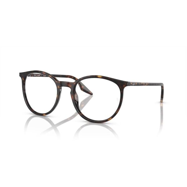 RB 2204 902/GJ 54 Ray-Ban TRANSITIONS® Fotokromik Güneş Gözlüğü