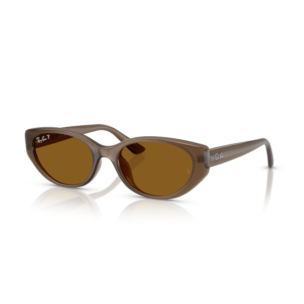 RB 4457D 677983 55 Ray-Ban Polarize Güneş Gözlüğü