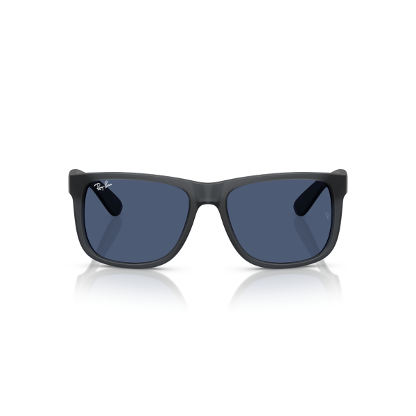 RB 4165 687380 55 Ray-Ban JUSTIN Güneş Gözlüğü