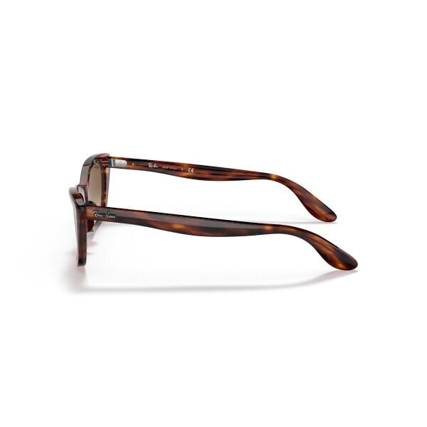RB 2299 954/51 52 Ray-Ban LADY BURBANK Güneş Gözlüğü