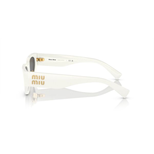 MU 03ZS 1425S0 54 Miu Miu Güneş Gözlüğü