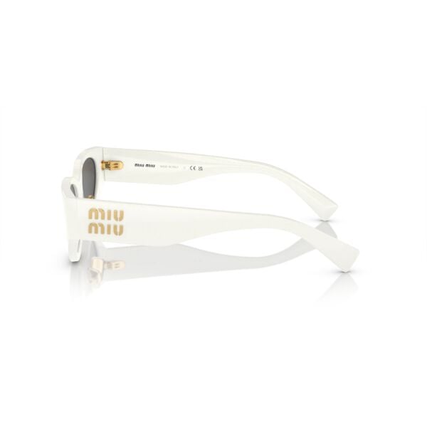 MU 03ZS 1425S0 54 Miu Miu Güneş Gözlüğü