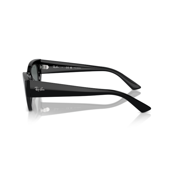 RB 4430 667781 49 Ray-Ban ZENA Polarize Güneş Gözlüğü