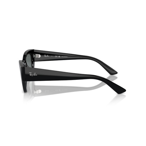 RB 4430 667781 49 Ray-Ban ZENA Polarize Güneş Gözlüğü