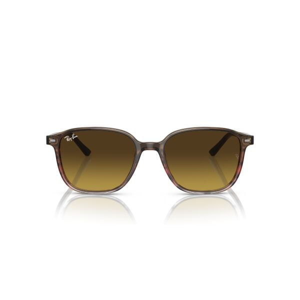 RB 2193 138085 51 Ray-Ban LEONARD Güneş Gözlüğü