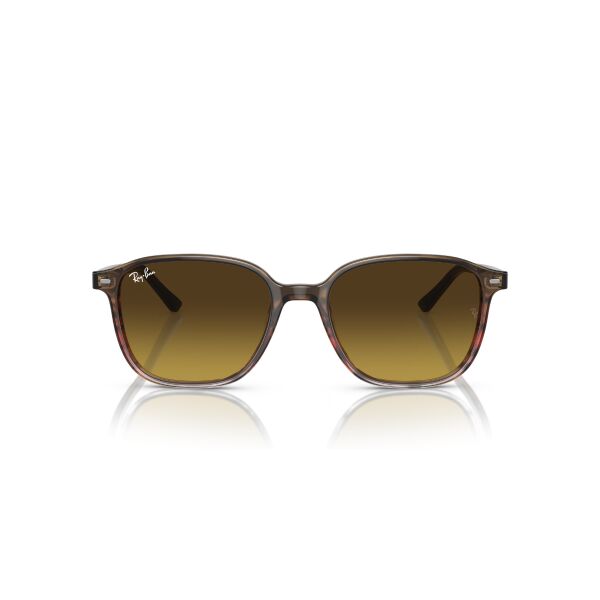 RB 2193 138085 51 Ray-Ban LEONARD Güneş Gözlüğü
