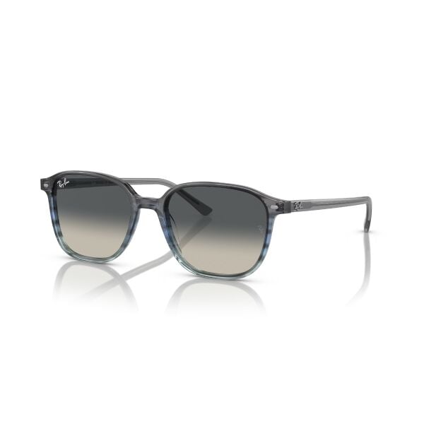 RB 2193 138171 51 Ray-Ban LEONARD Güneş Gözlüğü