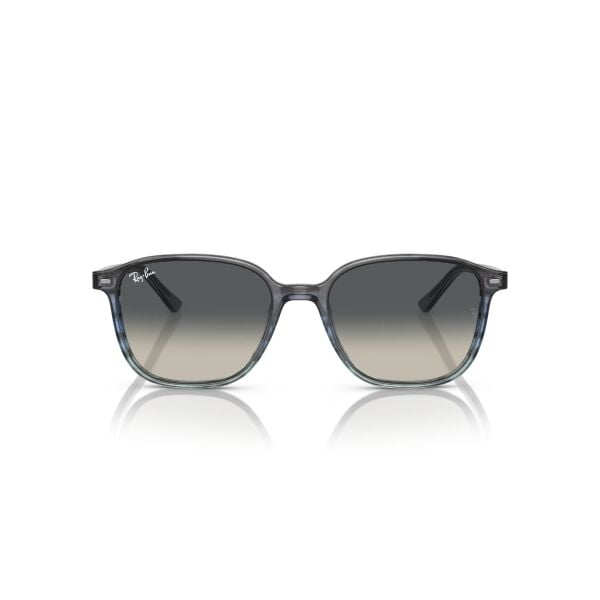 RB 2193 138171 51 Ray-Ban LEONARD Güneş Gözlüğü