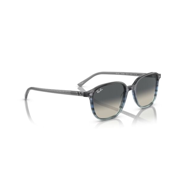 RB 2193 138171 51 Ray-Ban LEONARD Güneş Gözlüğü