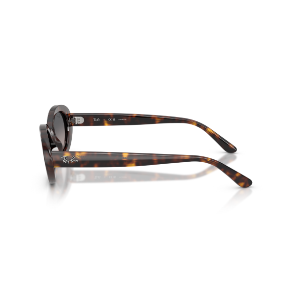 RB 2223 902/M3 54 Ray-Ban Polarize Güneş Gözlüğü