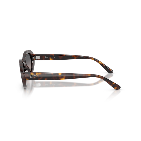 RB 2223 902/M3 54 Ray-Ban Polarize Güneş Gözlüğü