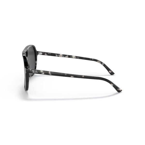 RB 2198 133348 60 Ray-Ban Bill Polarize Güneş Gözlüğü