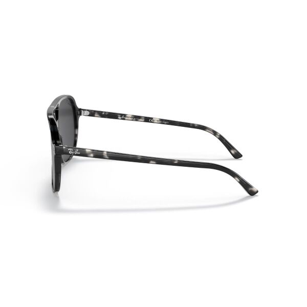 RB 2198 133348 60 Ray-Ban Bill Polarize Güneş Gözlüğü