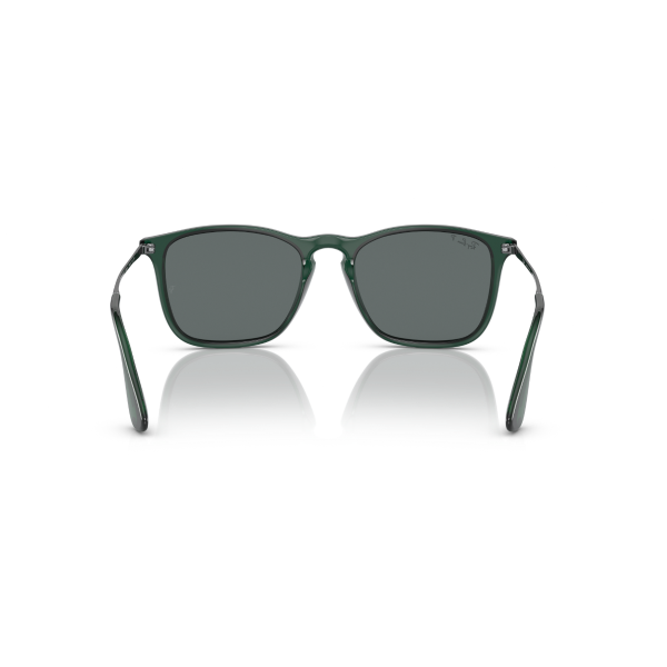 RB 4187 666381 54 Ray-Ban CHRIS Polarize Güneş Gözlüğü