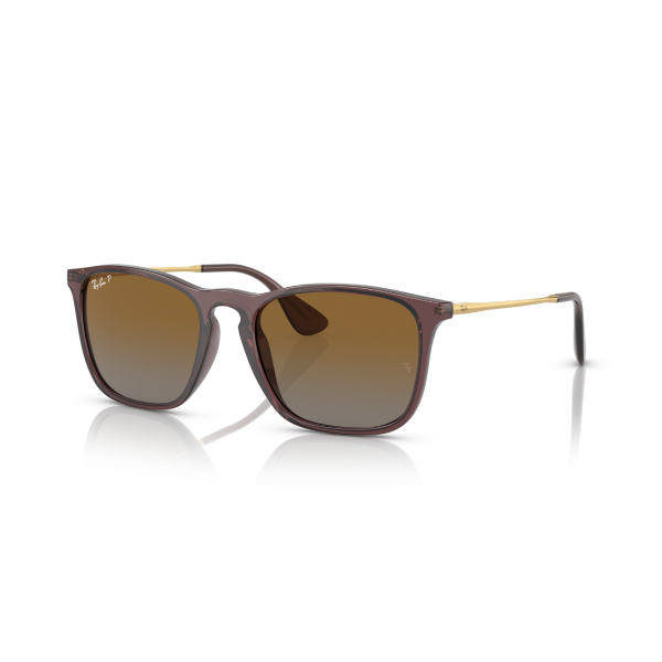 RB 4187 6593T5 54 Ray-Ban CHRIS Polarize Güneş Gözlüğü