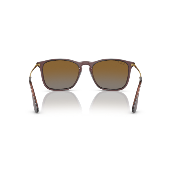 RB 4187 6593T5 54 Ray-Ban CHRIS Polarize Güneş Gözlüğü