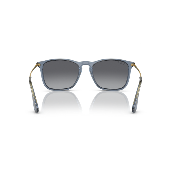 RB 4187 6592T3 54 Ray-Ban CHRIS Polarize Güneş Gözlüğü