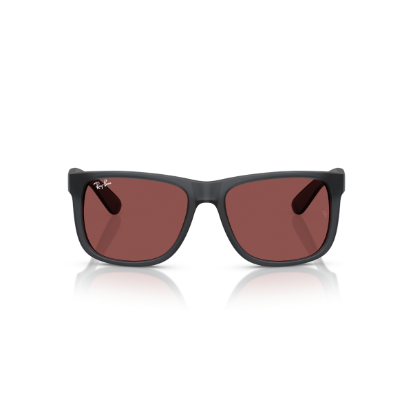 RB 4165 687375 55 Ray-Ban JUSTIN Güneş Gözlüğü