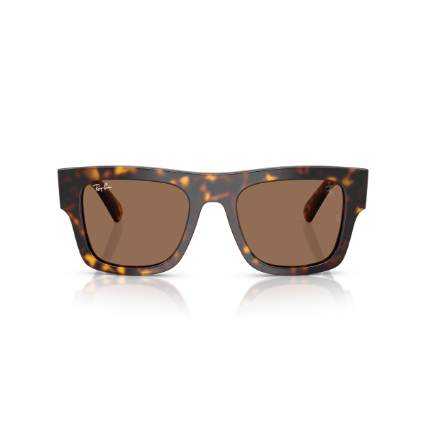 RB 2217M F61373 53 Ray-Ban Scuderia Ferrari Güneş Gözlüğü