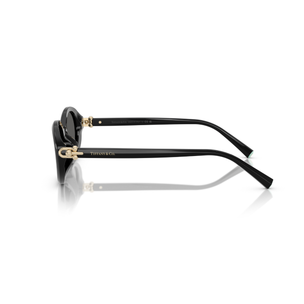 TF 4242D 8361S4 54 Tiffany & Co. Güneş Gözlüğü