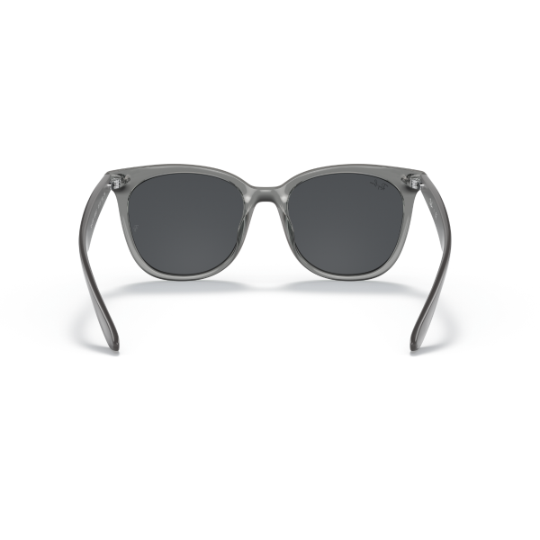 RB 4379D 659987 55 Ray-Ban Güneş Gözlüğü