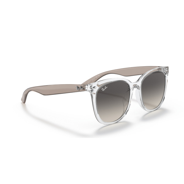 RB 4379D 659811 55 Ray-Ban Güneş Gözlüğü