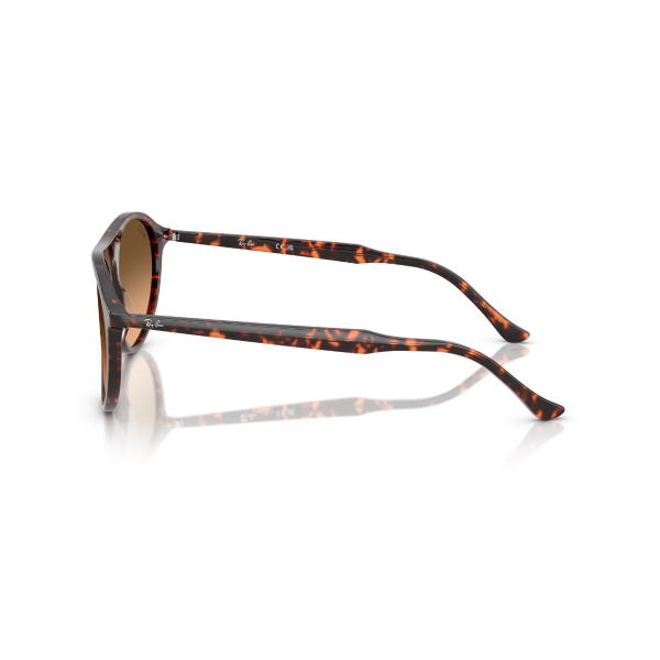 RB 2215 14293B 56 Ray-Ban Güneş Gözlüğü